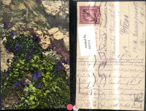 165111,Photochromie Nenke e Ostermaier 521euro927 Enzian Blumen Felsen Steine