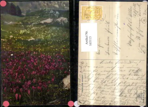 165113,Photochromie Nenke e Ostermaier Keuro514 Blumen Berglandschaft