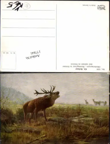 177841,Degi AK 1210 Ch. Kröner Oktobermorgen Hirsch Jagd Wild