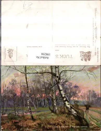 198258,Raphael Tuck 6602 Milton Silver Birches Birken Wald