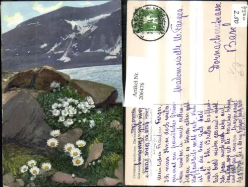 206476,Photochromie 519euro905 Landschaft Partie Blumen Felsen Berg