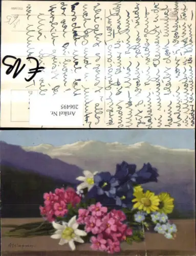 206495,Künstler AK A. Wagnen Photochromie 584euro1509 Blumen Efeu Edelweiß