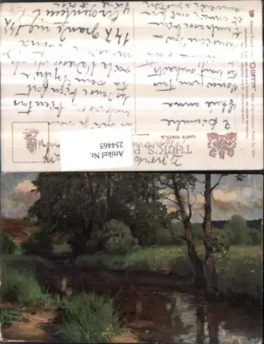 254465,Raphael Tuck e Sons 824 Künstler Dr. Muller-Kurzwelly Deutscher Wald Landschaft Partie Bach