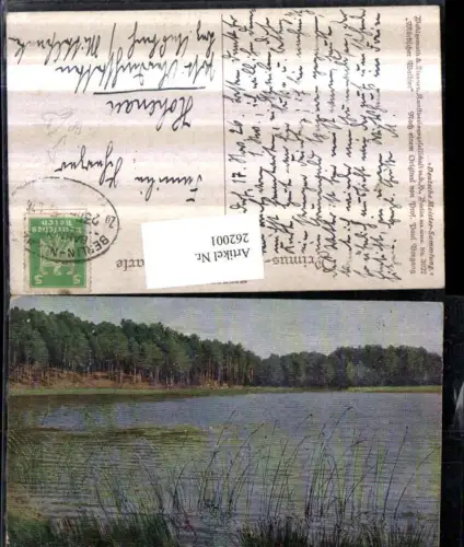 262001,Primus AK 3022 Künstler Paul Vorgang Märkischer Waldsee Partie Bahnpost Zug 238 von Berlin