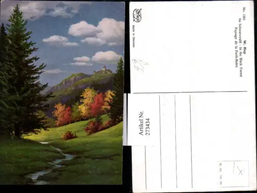 273434,Degi AK 1283 Künstler W. Hoy Im Schwarzwald Landschaft Burg