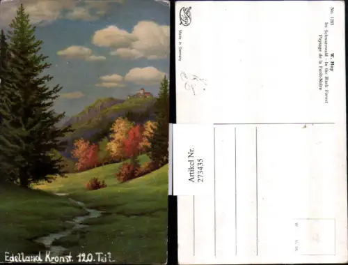 273435,Degi AK 1283 Künstler W. Hoy Im Schwarzwald Landschaft Burg