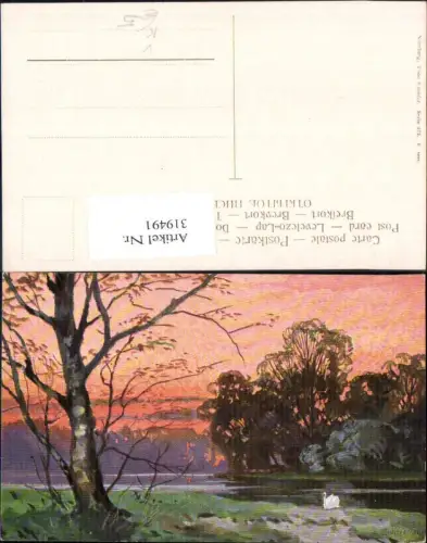 319491,Theo Stroefer 472 Splitgerber Schwan Fluss Landschaft Stimmungsbild