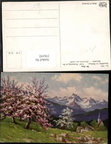 376192,Degi AK 1271 Künstler W. Hoy Baumblüte im Gebirge Landschaft Bergkulisse