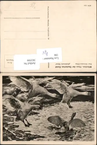 383599,Haus d. Deutschen Kunst HDK 523 Künstler Rud. Schramm-Zittau Einfallende Gänse