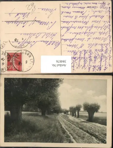 384876,Theo Stroefer 1123 Künstlerkarte Landschaft Wegpartie Bäume