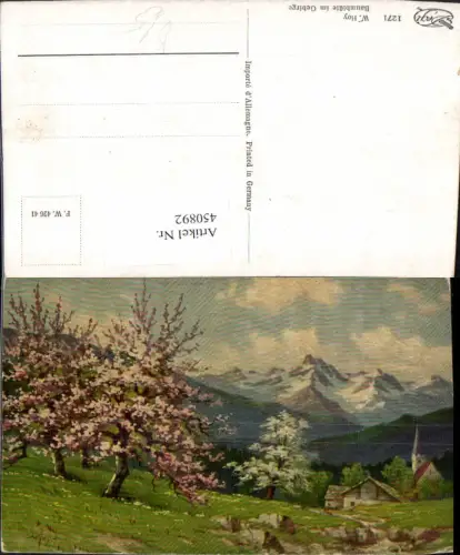 450892,Degi AK 1271 Künstler W. Hoy Baumblüte im Gebirge Bergkulisse