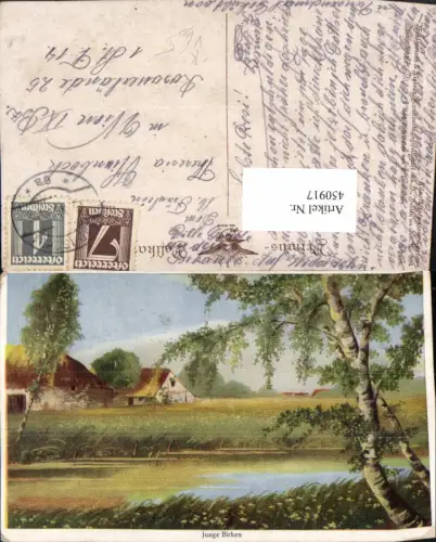 450917,Primus AK 984 Künstler Lindenberg Junge Birken Landschaft