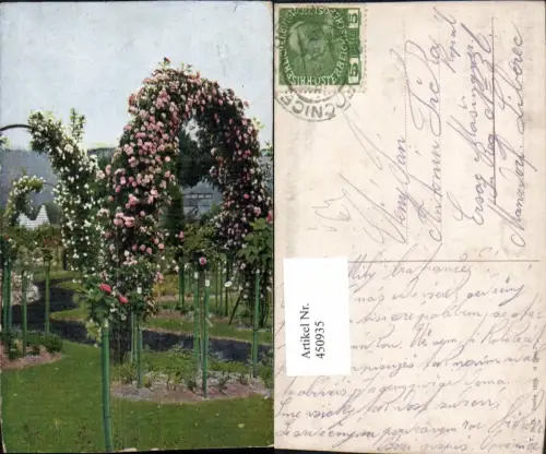 450935,Theo Stroefer 1263 Künstlerkarte Rosengarten Rosen