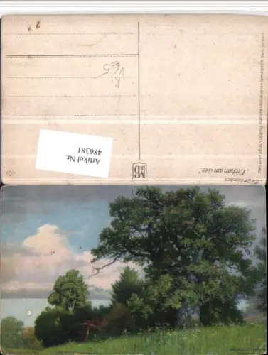 486381,Meissner e Buch 2607 Künstler Müller-Landeck Eichen am See Partie