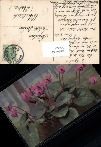 532327,Photochromie Ostermaier e Nenke Alpenblumen H487 Sindelfingen n Oberkirch