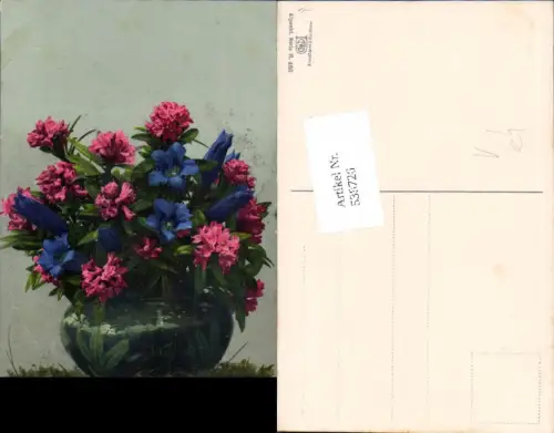 538726,Photochromie Nenke e Ostermaier Ser. H. 486 Blumen