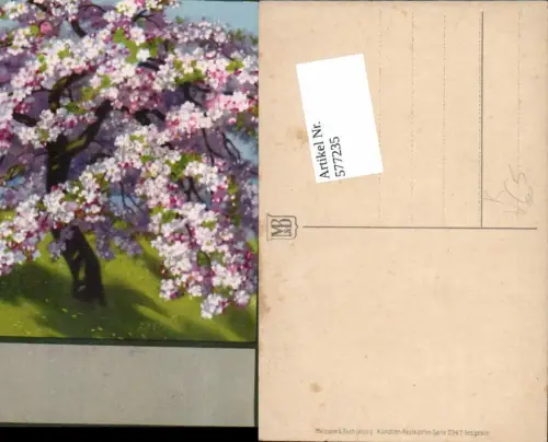 577235,Künstler AK Meissner e Buch 2347 Flieder Baum