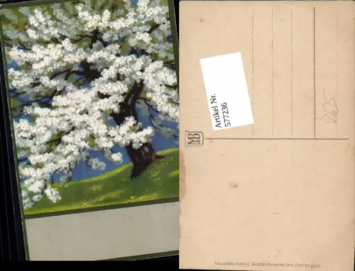577236,Künstler AK Meissner e Buch 2347 Flieder Baum