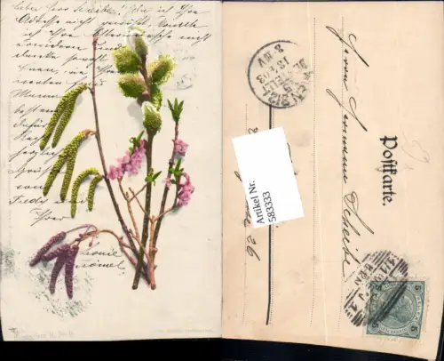 583333,Photochromie Nenke e Ostermaier Blumen Serie II No. 10