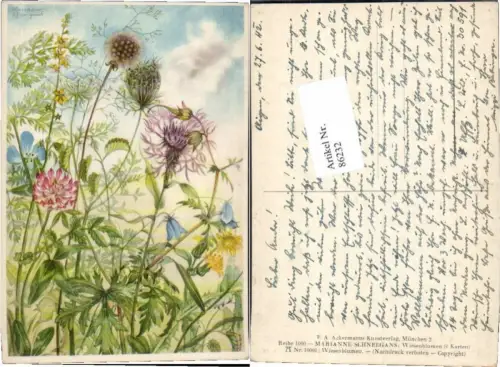 86232,Marianne Schneegans Wiesenblumen Ackermann 10001