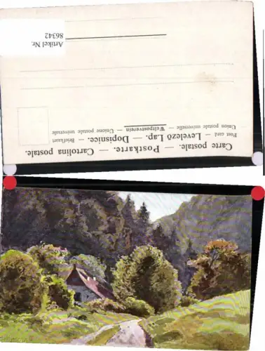 86342,Splitgerber jun. Weg Hütte Bäume Wald TOLL