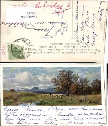 86359,A. Splitgerber Hirte Schafe Theo Stroefer 680