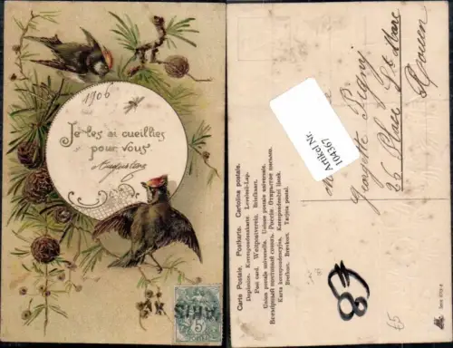 104367,Präge AK Vögel Vogel wird gefüttert