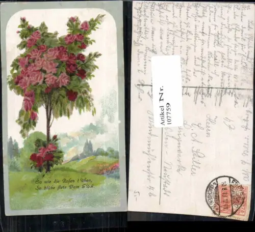 107759,Applikation Rosen Landschaft pub SVD