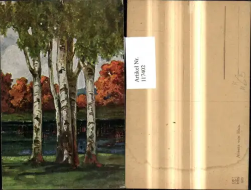 117402,Künstler Ak Baur Abseits v. Hain Bäume Birken