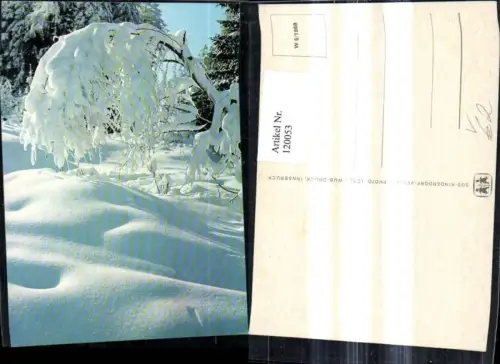120053,Winterwald Landschaft Schneebedeckter Ast pub SOS Kinderdorf W 5euro1969