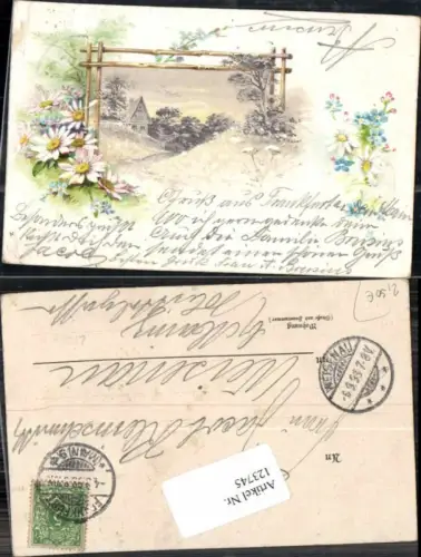 123745,Tolle Blumen Litho Haus Dorf Wiese 1900