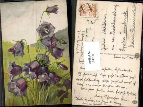 124700,A. Haller Blumen Wiese