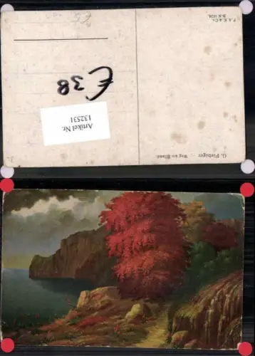 132531,G. Fiebiger Berlin Weg am Eiland