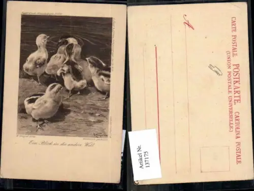 137175,K. Wagner Enten Küken