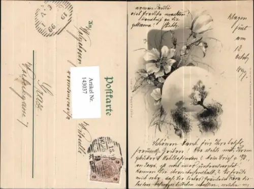 143037,Litho Blumen pub Wilhelm Boehme Berlin Nr 601