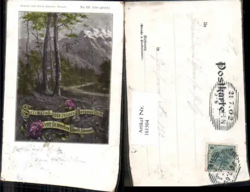 161504,Litho Fritz Grandt Berlin Bäume Wald