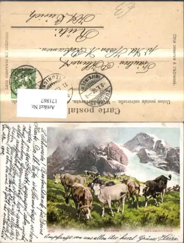 171867,Künstler Ak Kuhherde sign R. Koller