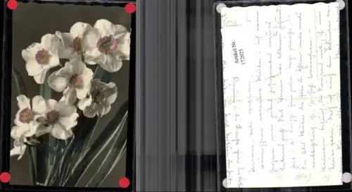 172025,Künstler Ak Dipl. Ing. Popp Verley Blumen