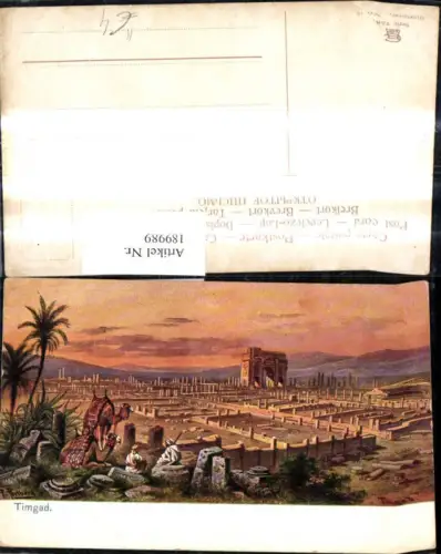 189989,Künstler Ak F. Perlberg Timgad Kamele Ruinenstadt