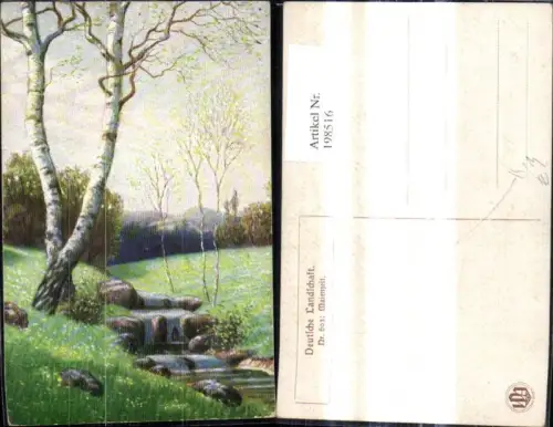 198516,Künstler Ak Maienzeit Bach Bäume Birken Birke Landschaft