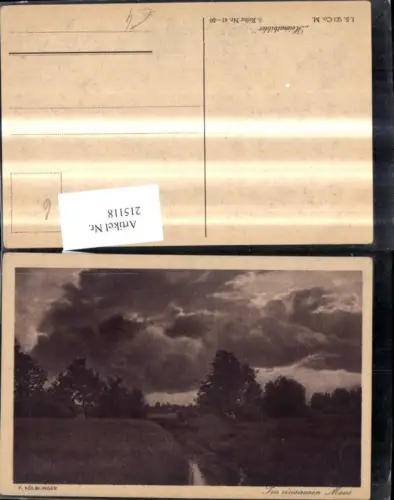 215118,Künstler Ak F. Kölbinger Im einsamen Moos