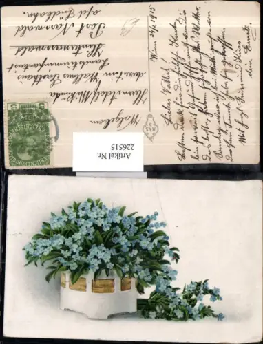 226515,Künstler AK Vergissmeinnicht Blumen