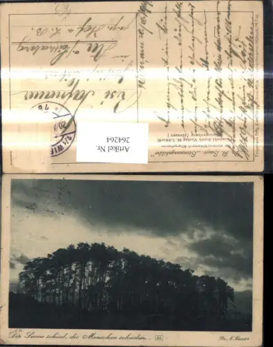 264264,Künstler Ak A. Sauer Stimmungsbilder Die Sonne schied Landschaft pub H. Lüdorff Zwingenberg