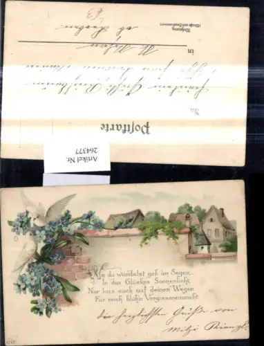 264377,Litho Tauben a. Mauer Vergissmeinnicht Spruch Text