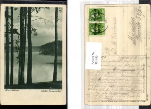 301440,Künstler Ak Th. u. O. Hofmeister Lichte Einsamkeit Bäume a. Ufer See Landschaft