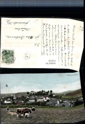 318158,Daun in d. Eifel Totale Kuhgespann Feld