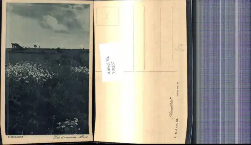 319267,Künstler Ak F. Kölblinger Im einsamen Moos Landschaft Blumen