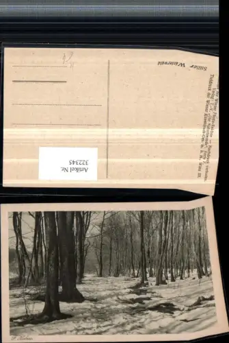 322345,Künstler AK F. Holzer Winterlandschaft Wald