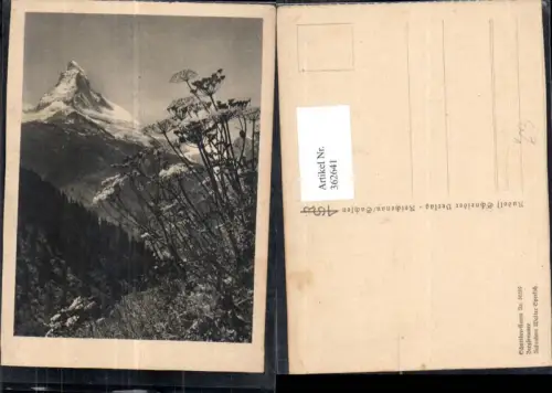 362641,Künstler Ak Bergsommer pub Rudolf Schneider Reichenau i. Sachsen