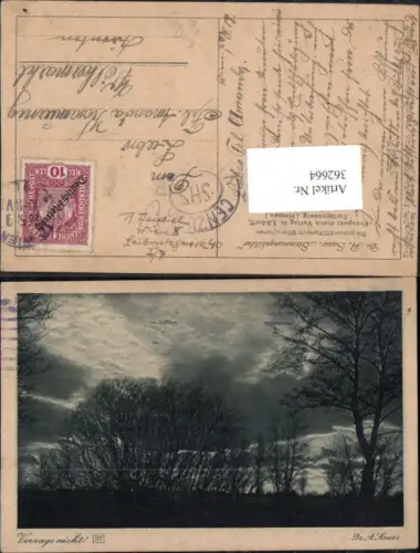 362664,Künstler Ak Dr. A. Sauer Stimmungsbilder Bäume pub H. Lüdorff Zwingenberg